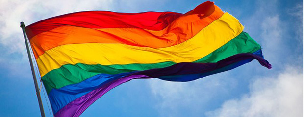 Gay rainbow flag (620-240)