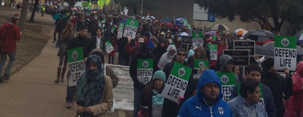 Dallas March for Life crowd (620-240)